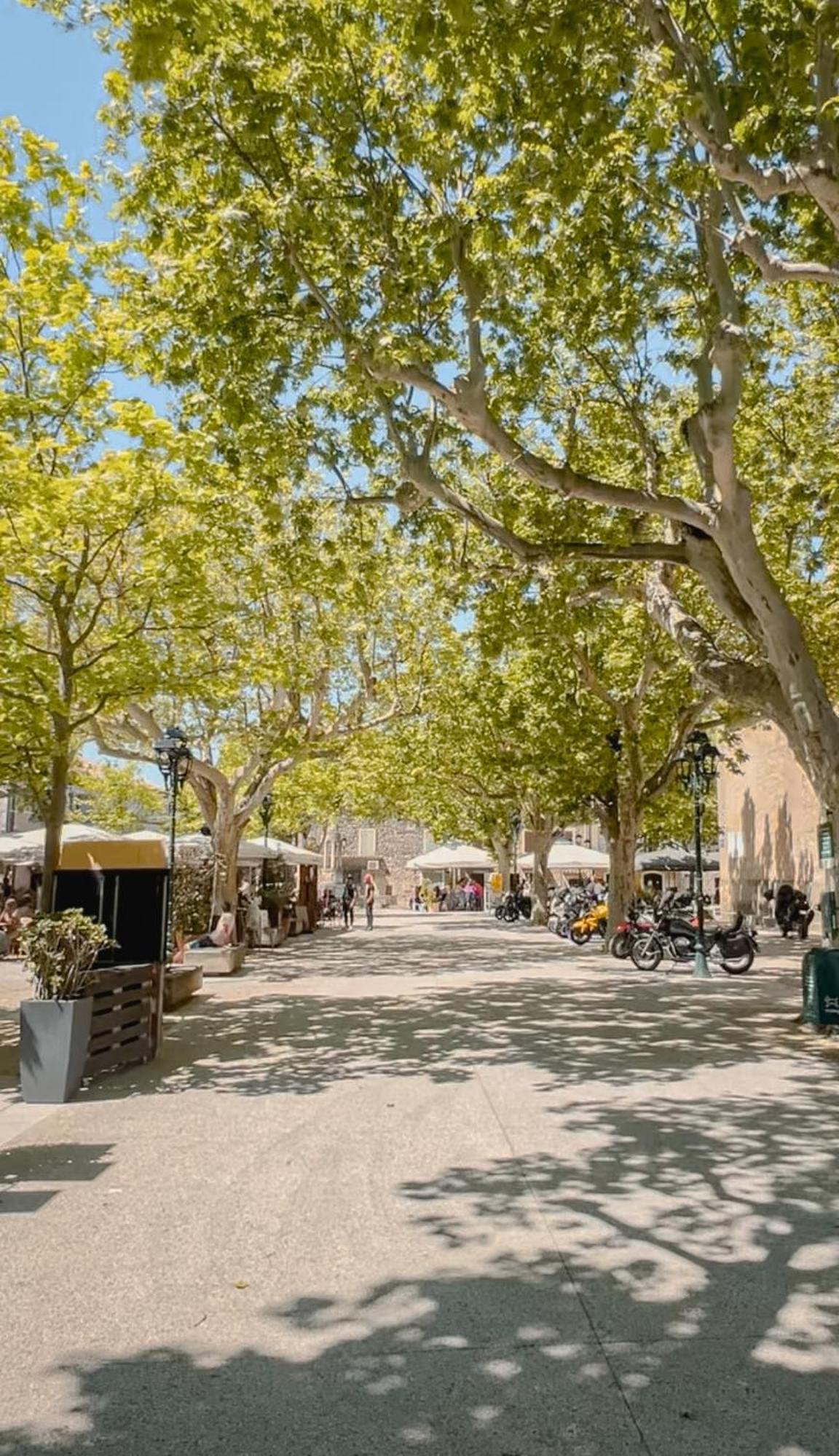 Hotel Les Magnanarelles Maussane les Alpilles Kültér fotó