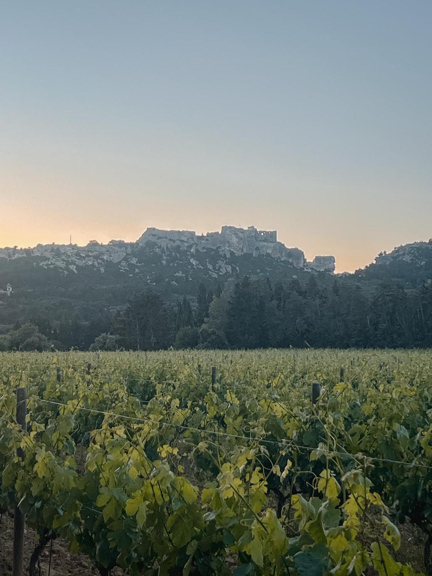 Hotel Les Magnanarelles Maussane les Alpilles Kültér fotó